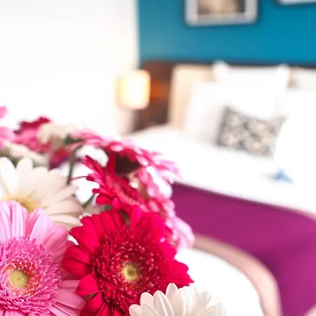 酒店 昂热中央车站美居酒店 4*