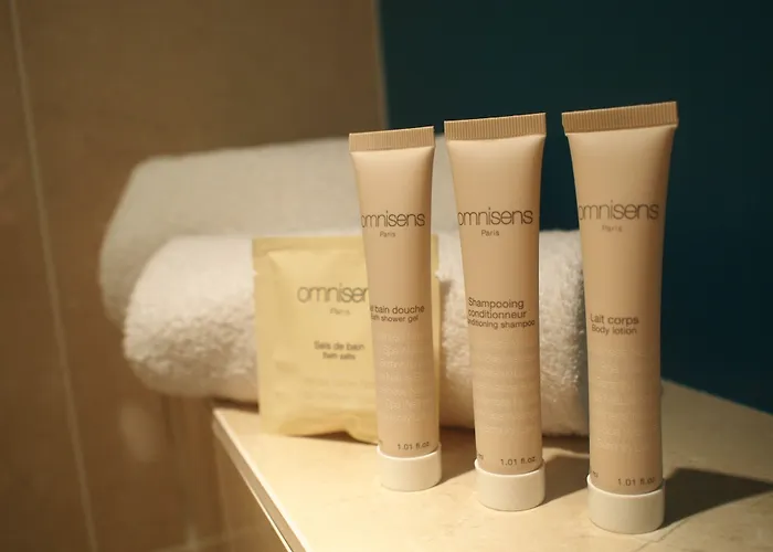 Mercure Centre Gare Otel Angers